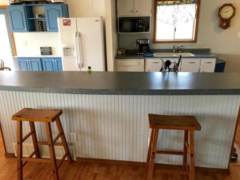 3899 E Shore Dr, Stanton, MI 48888 photo 10