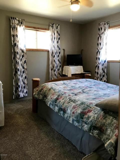 3899 E Shore Dr, Stanton, MI 48888 photo 2