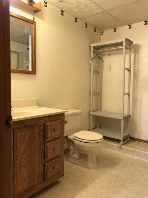 3899 E Shore Dr, Stanton, MI 48888 photo 26