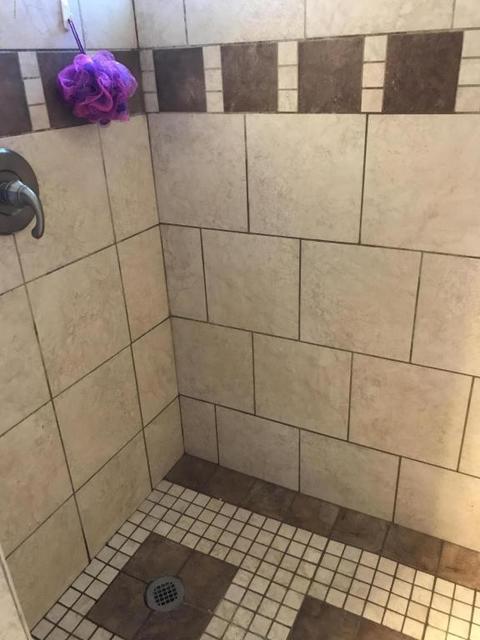3899 E Shore Dr, Stanton, MI 48888 photo 5