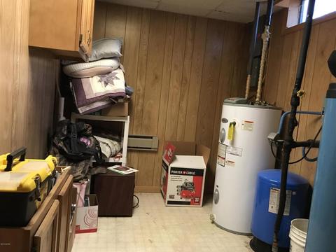 3899 E Shore Dr, Stanton, MI 48888 photo 33