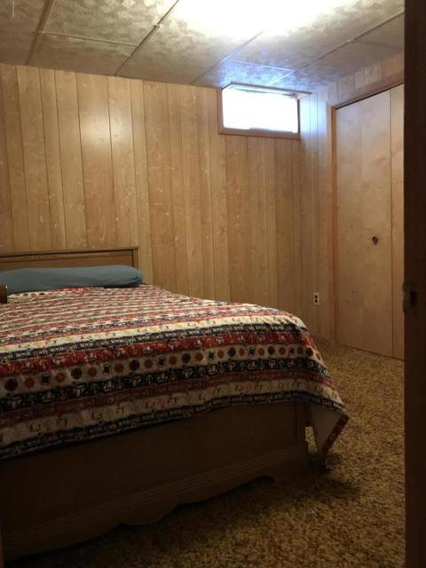 3899 E Shore Dr, Stanton, MI 48888 photo 24