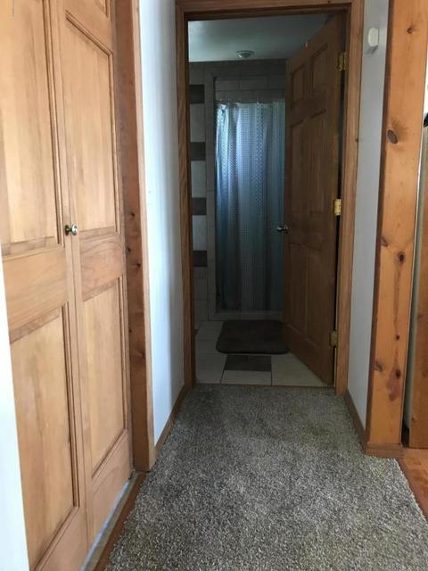 3899 E Shore Dr, Stanton, MI 48888 photo 4
