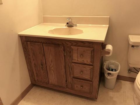 3899 E Shore Dr, Stanton, MI 48888 photo 28