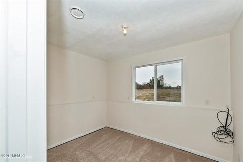 9043 E 56th St, Newaygo, MI 49337 photo 4