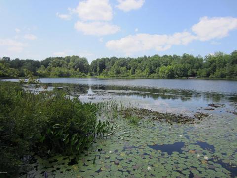 7664 E Yonker Rd, Hesperia, MI 49421 photo 45