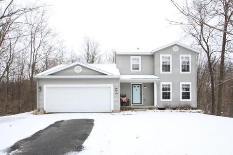 19 Overlook, Plainwell, MI 49080 photo 2