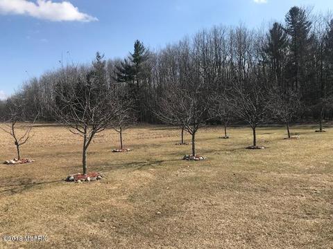 10364 Broadway, Remus, MI 49340 photo 15