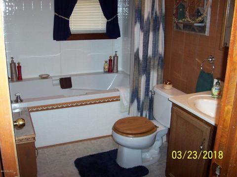 355 Fox Rd, Coldwater, MI 49036 photo 12