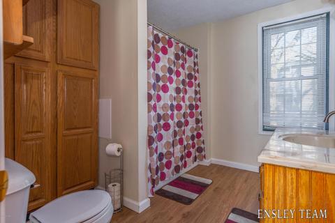 441 Birch St, Belding, MI 48809 photo 11