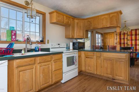 441 Birch St, Belding, MI 48809 photo 8