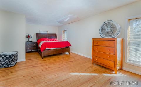 441 Birch St, Belding, MI 48809 photo 13