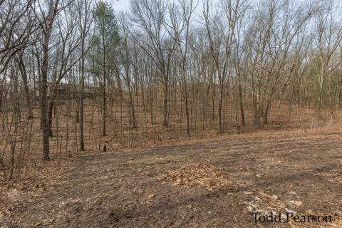 10925 Foreman SE, Lowell, MI 49331 photo 4