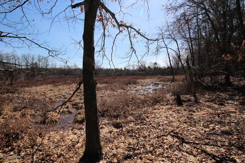 1717 N Pine Ave, White Cloud, MI 49349 photo 9