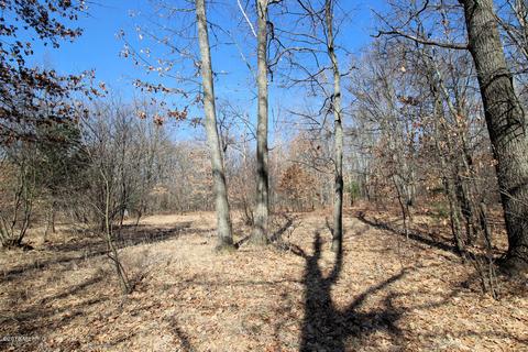 1717 N Pine Ave, White Cloud, MI 49349 photo 6