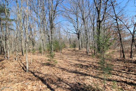 1717 N Pine Ave, White Cloud, MI 49349 photo 7
