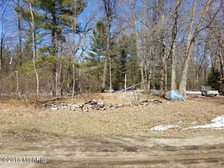 899 E Mccork Rd, Idlewild, MI 49642 photo 15