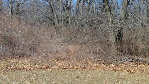 10252 E Spencer Rd, Crystal, MI 48818 photo 40