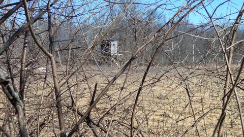 10252 E Spencer Rd, Crystal, MI 48818 photo 37