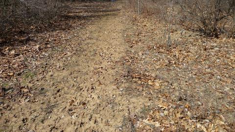 10252 E Spencer Rd, Crystal, MI 48818 photo 34