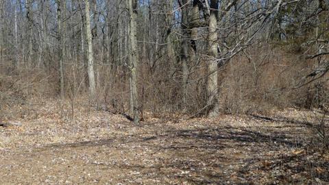 10252 E Spencer Rd, Crystal, MI 48818 photo 44
