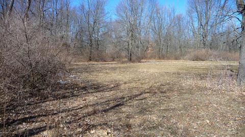 10252 E Spencer Rd, Crystal, MI 48818 photo 18