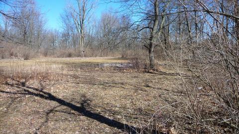 10252 E Spencer Rd, Crystal, MI 48818 photo 20