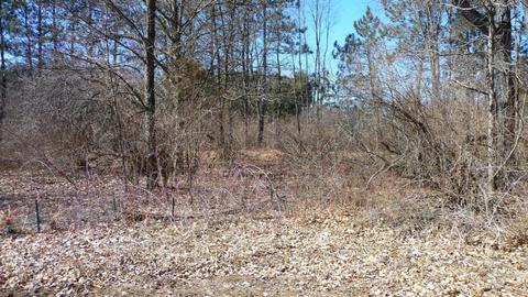 10252 E Spencer Rd, Crystal, MI 48818 photo 46