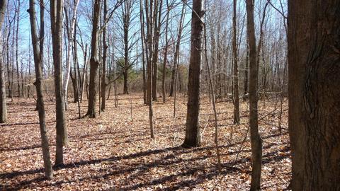 10252 E Spencer Rd, Crystal, MI 48818 photo 16