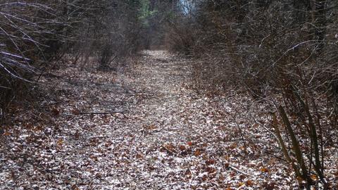 10252 E Spencer Rd, Crystal, MI 48818 photo 38