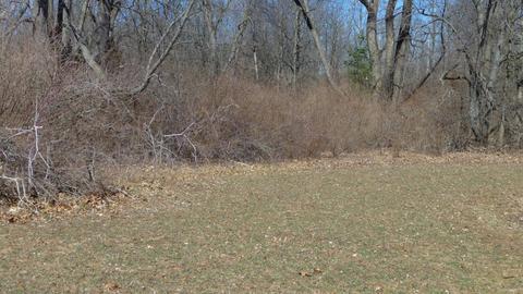 10252 E Spencer Rd, Crystal, MI 48818 photo 41