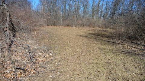 10252 E Spencer Rd, Crystal, MI 48818 photo 29