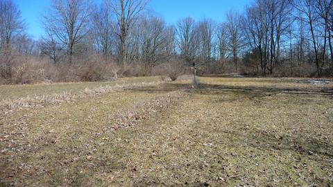 10252 E Spencer Rd, Crystal, MI 48818 photo 48