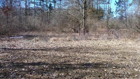 10252 E Spencer Rd, Crystal, MI 48818 photo 45