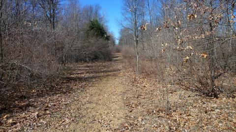 10252 E Spencer Rd, Crystal, MI 48818 photo 33