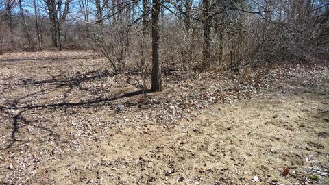 10252 E Spencer Rd, Crystal, MI 48818 photo 25