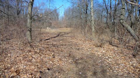 10252 E Spencer Rd, Crystal, MI 48818 photo 27