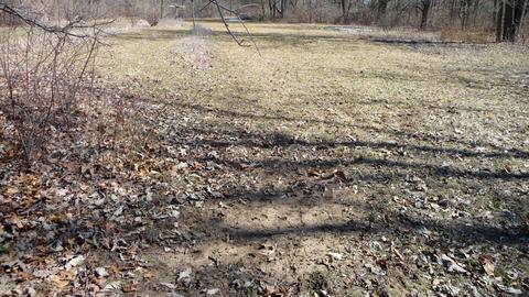 10252 E Spencer Rd, Crystal, MI 48818 photo 47