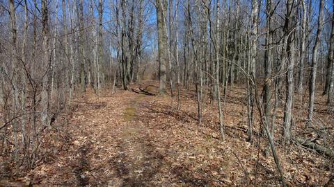 10252 E Spencer Rd, Crystal, MI 48818 photo 14