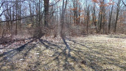 10252 E Spencer Rd, Crystal, MI 48818 photo 23