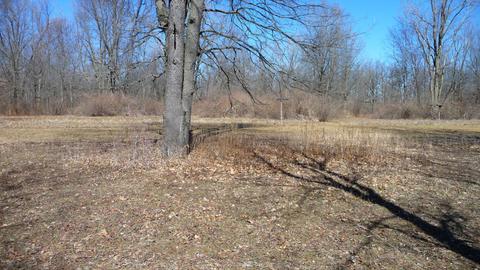 10252 E Spencer Rd, Crystal, MI 48818 photo 19