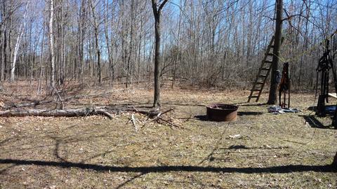 10252 E Spencer Rd, Crystal, MI 48818 photo 13