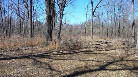 10252 E Spencer Rd, Crystal, MI 48818 photo 12