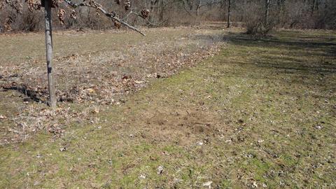 10252 E Spencer Rd, Crystal, MI 48818 photo 22