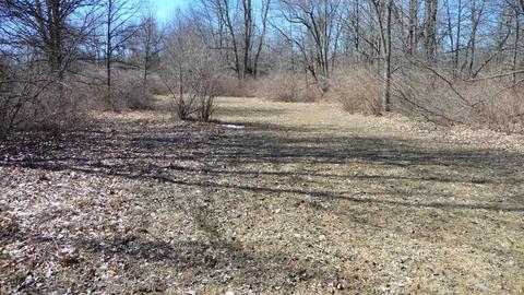 10252 E Spencer Rd, Crystal, MI 48818 photo 28