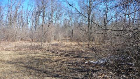 10252 E Spencer Rd, Crystal, MI 48818 photo 30