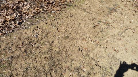 10252 E Spencer Rd, Crystal, MI 48818 photo 32
