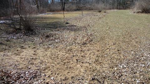 10252 E Spencer Rd, Crystal, MI 48818 photo 26