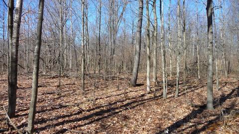 10252 E Spencer Rd, Crystal, MI 48818 photo 17