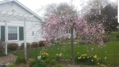 433 S Second St, Carson City, MI 48811 photo 33